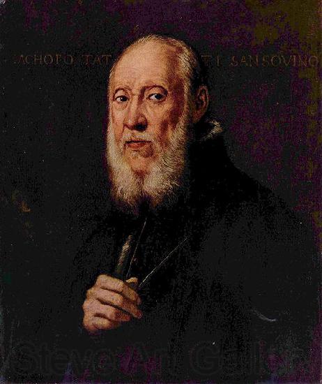 Jacopo Tintoretto Portrat des Bildhauers Jacopo Sansovino Norge oil painting art